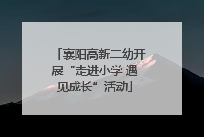 襄阳高新二幼开展“走进小学 遇见成长”活动