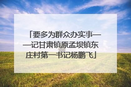 要多为群众办实事——记甘肃镇原孟坝镇东庄村第一书记杨鹏飞