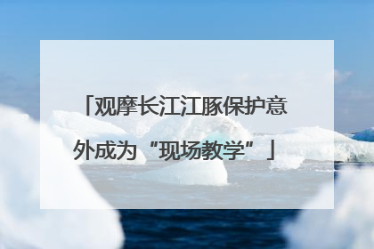 观摩长江江豚保护意外成为“现场教学”