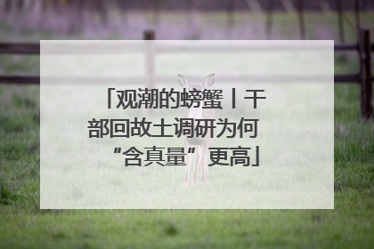 观潮的螃蟹丨干部回故土调研为何“含真量”更高