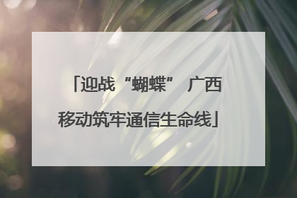 迎战“蝴蝶” 广西移动筑牢通信生命线