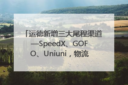 运德新增三大尾程渠道—SpeedX、GOFO、Uniuni，物流效率跃升50%！