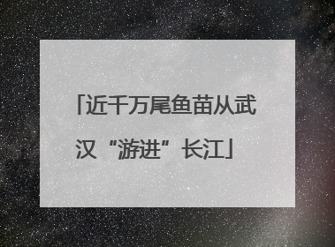 近千万尾鱼苗从武汉“游进”长江