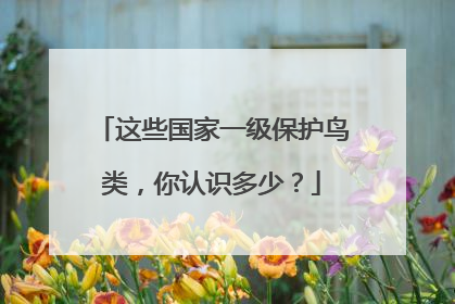 这些国家一级保护鸟类，你认识多少？