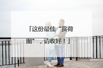 这份最佳“赏荷图”，请收好！