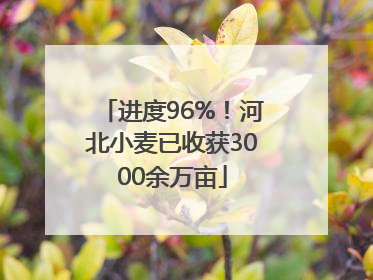 进度96%！河北小麦已收获3000余万亩