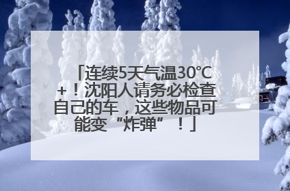 连续5天气温30℃+！沈阳人请务必检查自己的车，这些物品可能变“炸弹”！