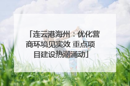 连云港海州：优化营商环境见实效 重点项目建设热潮涌动
