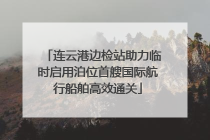 连云港边检站助力临时启用泊位首艘国际航行船舶高效通关