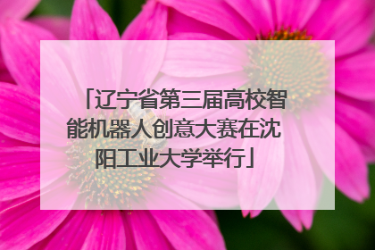 辽宁省第三届高校智能机器人创意大赛在沈阳工业大学举行