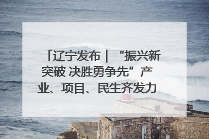 辽宁发布｜“振兴新突破 决胜勇争先”产业、项目、民生齐发力 葫芦岛按下决胜之年“加速键”