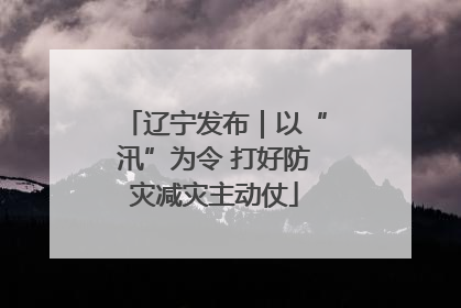 辽宁发布｜以“汛”为令 打好防灾减灾主动仗