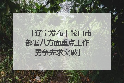 辽宁发布｜鞍山市部署八方面重点工作勇争先求突破