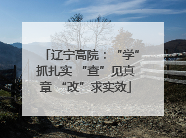 辽宁高院：“学”抓扎实 “查”见真章 “改”求实效