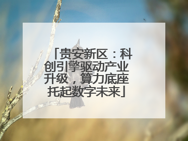 贵安新区：科创引擎驱动产业升级，算力底座托起数字未来
