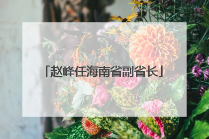 赵峰任海南省副省长