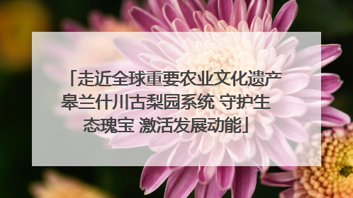 走近全球重要农业文化遗产皋兰什川古梨园系统 守护生态瑰宝 激活发展动能
