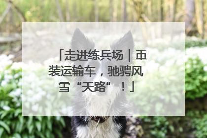 走进练兵场｜重装运输车，驰骋风雪“天路”！