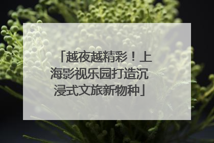 越夜越精彩！上海影视乐园打造沉浸式文旅新物种