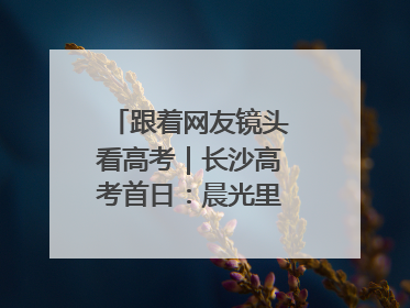 跟着网友镜头看高考｜长沙高考首日：晨光里的奔赴与守望