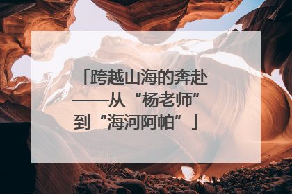 跨越山海的奔赴——从“杨老师”到“海河阿帕”
