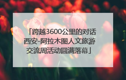 跨越3600公里的对话 西安-阿拉木图人文旅游交流周活动圆满落幕