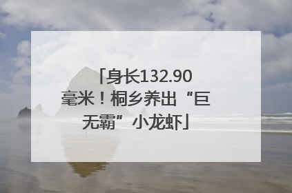 身长132.90毫米！桐乡养出“巨无霸”小龙虾