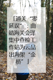 通关“零延误”：曲靖海关会泽集中查检工作站为云品出海架“金桥”