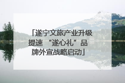 遂宁文旅产业升级提速 “遂心礼”品牌外宣战略启动
