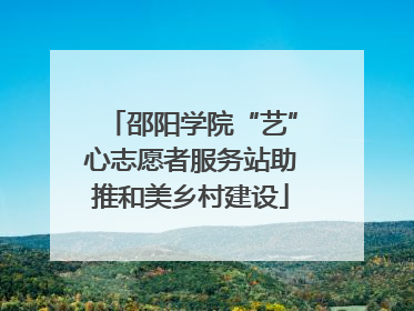 邵阳学院“艺”心志愿者服务站助推和美乡村建设