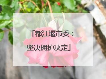 都江堰市委：坚决拥护决定