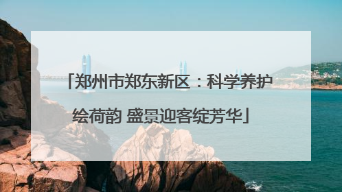郑州市郑东新区：科学养护绘荷韵 盛景迎客绽芳华