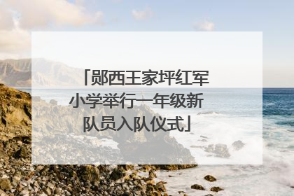 郧西王家坪红军小学举行一年级新队员入队仪式