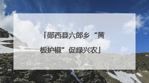 郧西县六郎乡“黄板护椒”促绿兴农
