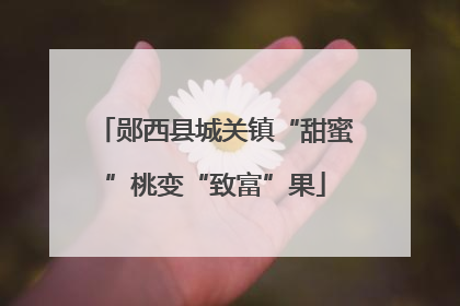 郧西县城关镇“甜蜜”桃变“致富”果