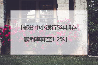 部分中小银行5年期存款利率降至1.2%