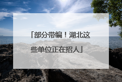 部分带编！湖北这些单位正在招人