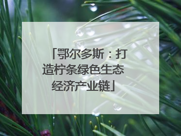 鄂尔多斯：打造柠条绿色生态经济产业链