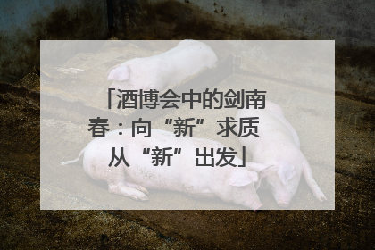 酒博会中的剑南春：向“新”求质 从“新”出发