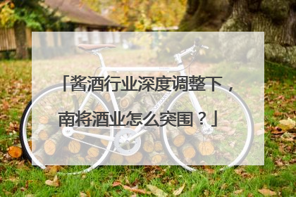 酱酒行业深度调整下，南将酒业怎么突围？