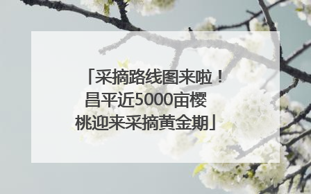 采摘路线图来啦！昌平近5000亩樱桃迎来采摘黄金期