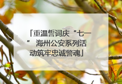 重温誓词庆“七一” 海州公安系列活动筑牢忠诚警魂