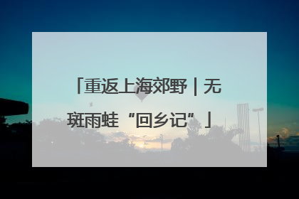 重返上海郊野｜无斑雨蛙“回乡记”