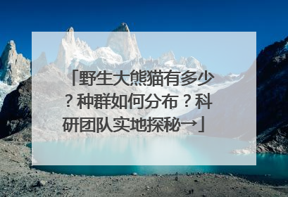 野生大熊猫有多少？种群如何分布？科研团队实地探秘→