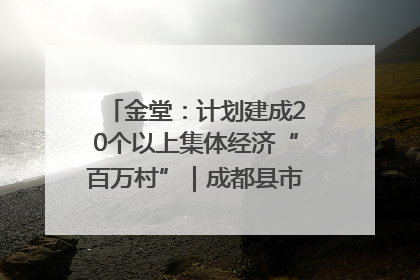 金堂：计划建成20个以上集体经济“百万村”｜成都县市新城高质量发展