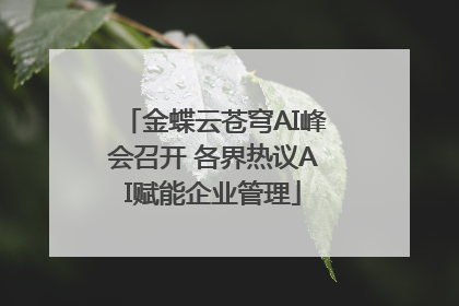 金蝶云苍穹AI峰会召开 各界热议AI赋能企业管理