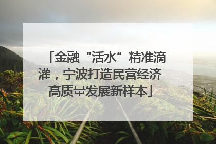 金融“活水”精准滴灌，宁波打造民营经济高质量发展新样本