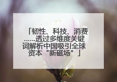 韧性、科技、消费……透过多维度关键词解析中国吸引全球资本“新磁场”