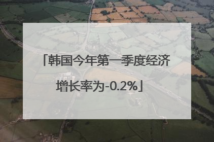韩国今年第一季度经济增长率为-0.2%