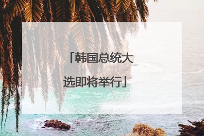 韩国总统大选即将举行